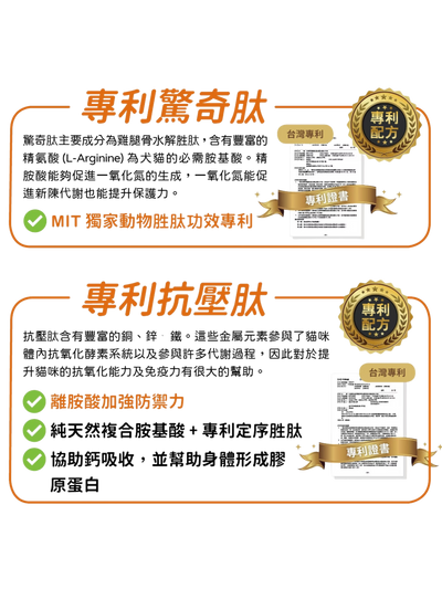 可蒂毛毛｜免疫力保健 貓貓適用