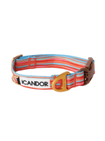 iCandor | Gentle Collar 狗狗項圈 - RUFF & FETCH