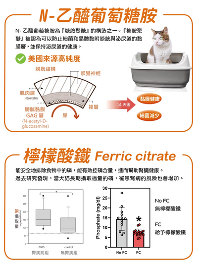 可蒂毛毛｜泌尿心情好 貓貓適用