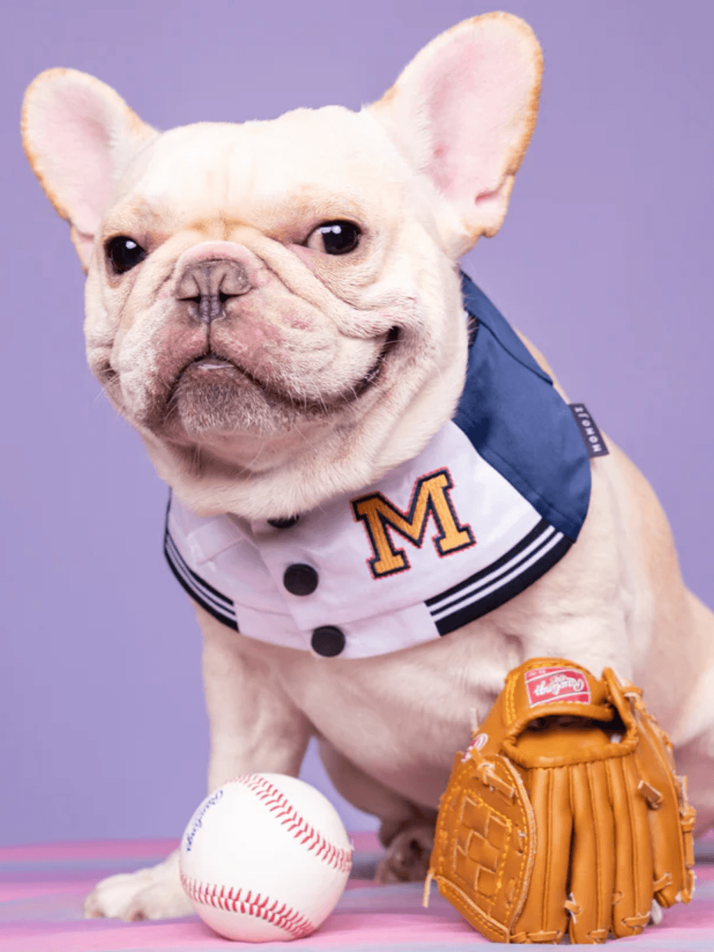 Momoji | Basepaws 系列寵物圍兜 - RUFF & FETCH