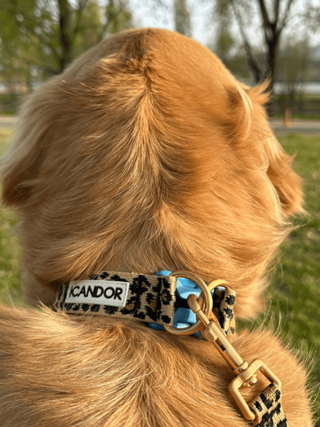 iCandor | Gentle Collar Dual 頸圈 - RUFF & FETCH