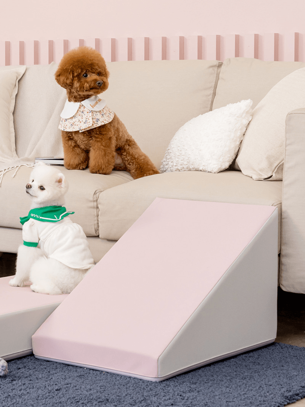 Pupping | 防滑寵物斜坡 - RUFF & FETCH