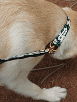 iCandor | Gentle Collar Dual 頸圈 - RUFF & FETCH