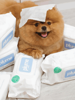 Plume｜溫和清潔濕紙巾 - RUFF & FETCH