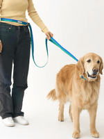 iCandor | Gentle Leash Bolt 牽繩 - RUFF & FETCH