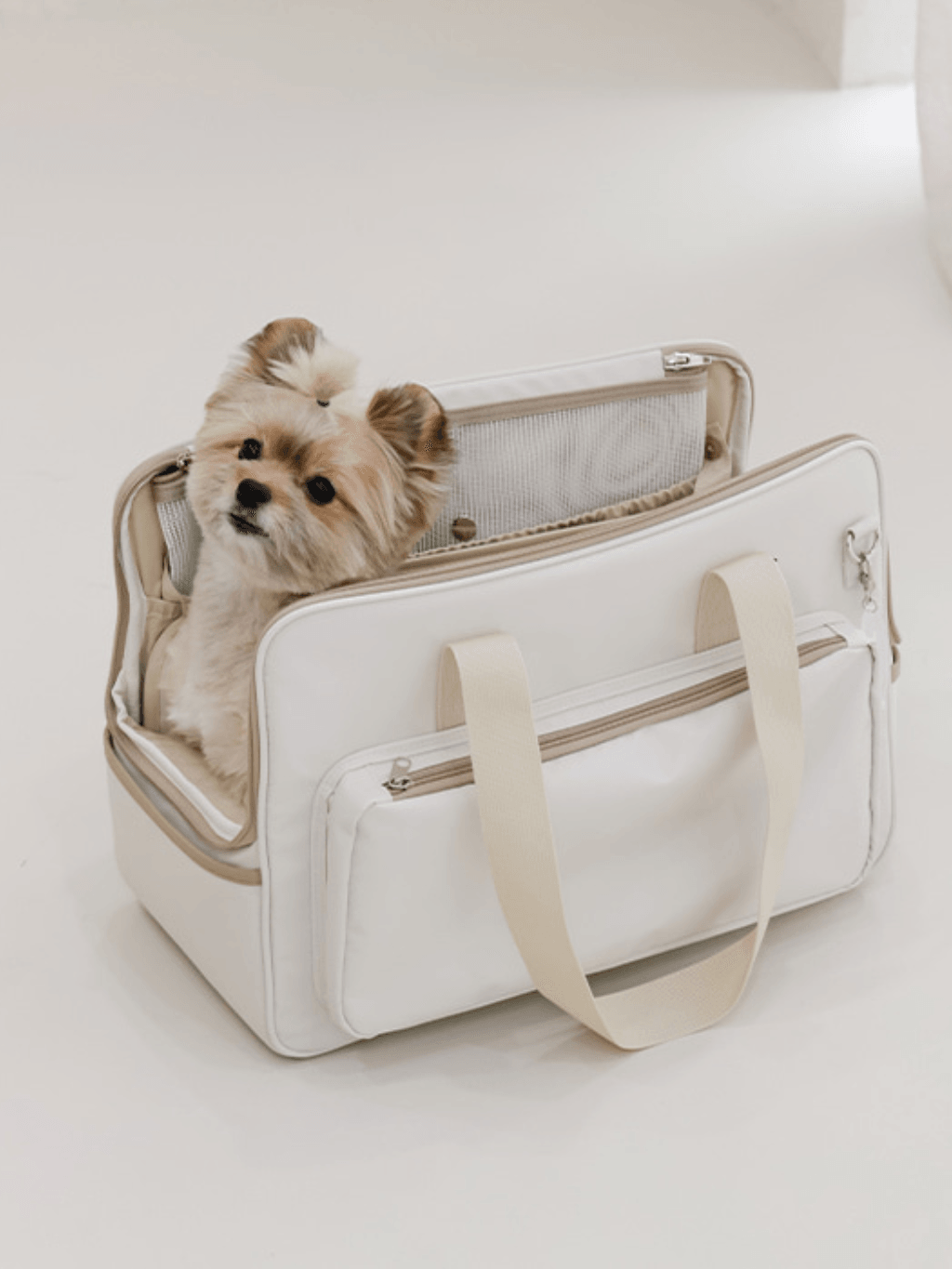 Pupping｜Every Pet 寵物袋 - RUFF & FETCH