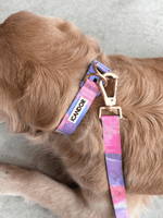 iCandor | Gentle Leash Bolt 牽繩 - RUFF & FETCH
