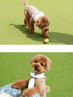 MASCOT｜水手領巾 - RUFF & FETCH