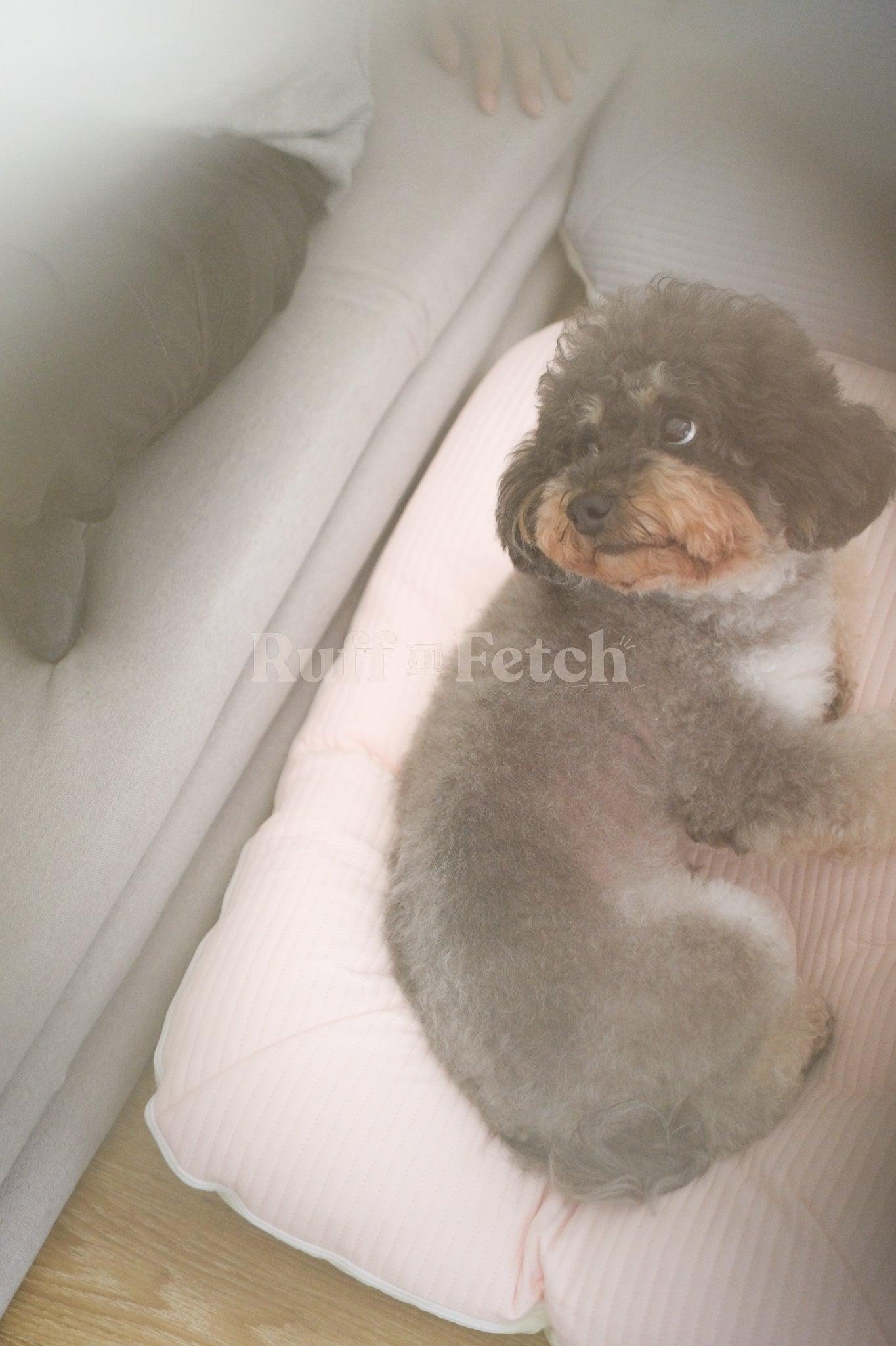 Barbichon | SOOK BED 敏感護理寵物床 - RUFF & FETCH