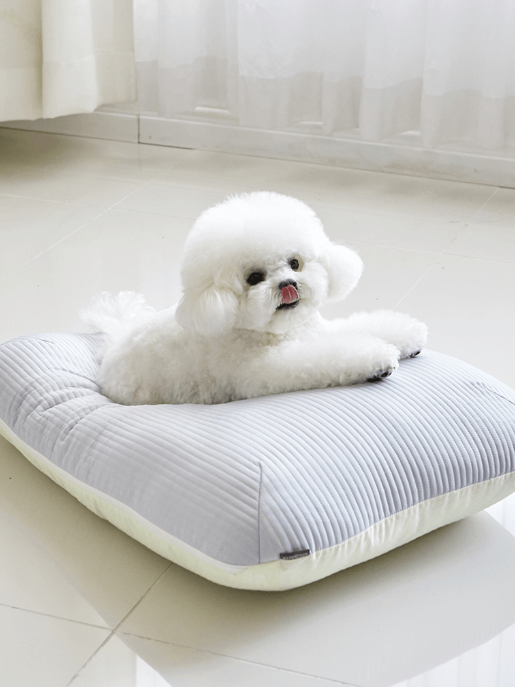 Barbichon | SOOK BED 敏感護理寵物床 - RUFF & FETCH