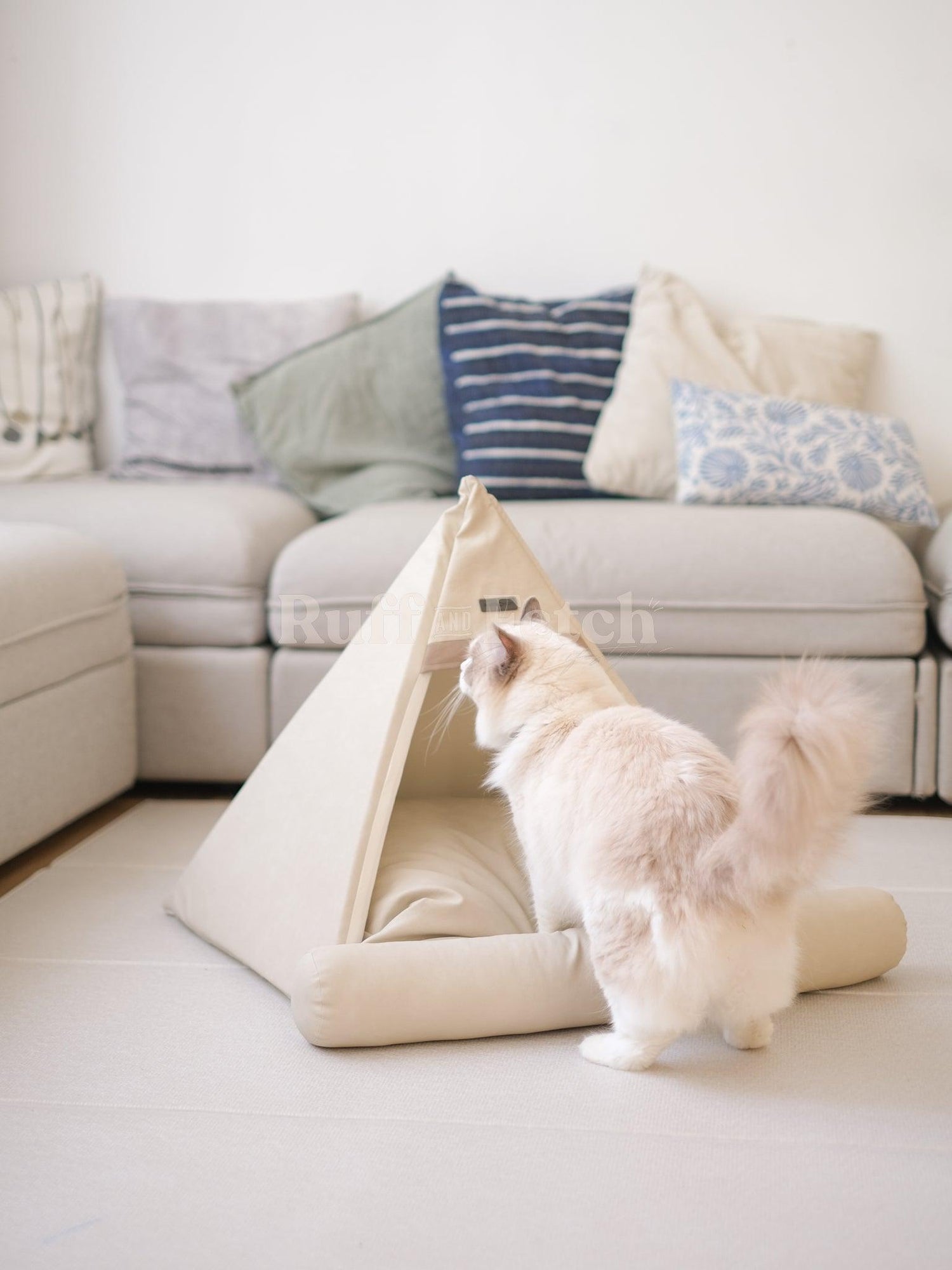 Barbichon | 寵物帳篷連床 - RUFF & FETCH