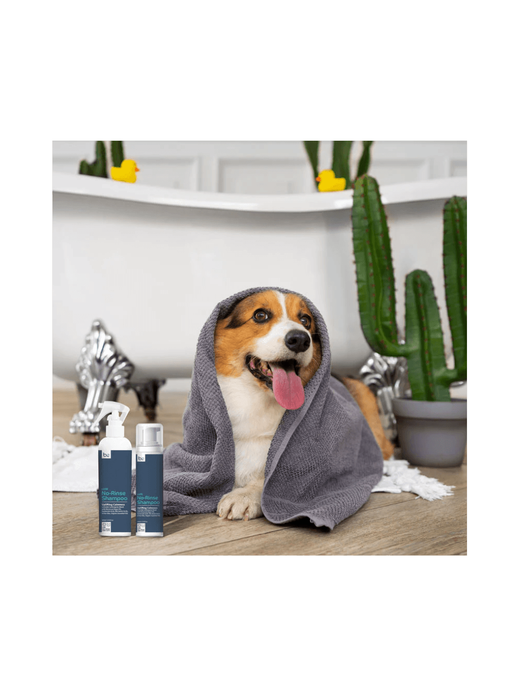 Beyond Clean | 新加坡寵物消毒免沖水乾洗噴霧 250ml (The Luxe) - RUFF & FETCH
