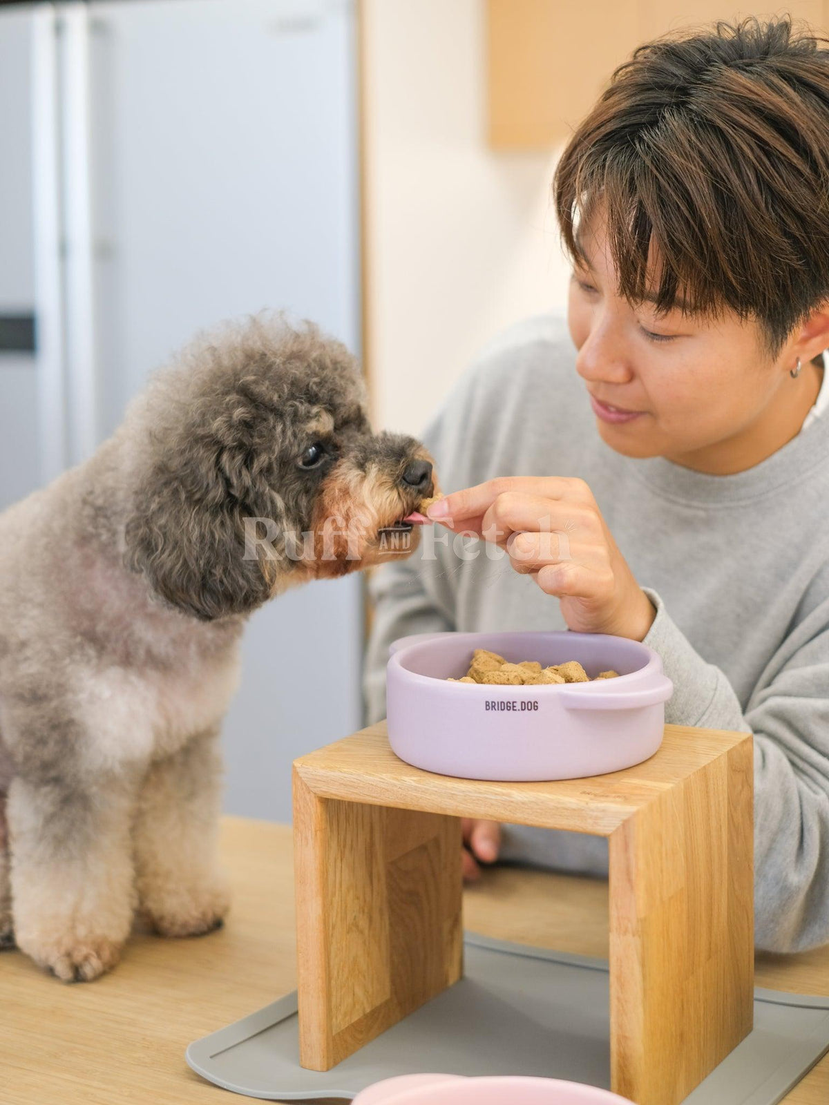 Bridge Dog | 寵物磨砂啞光餵食盤 - RUFF & FETCH