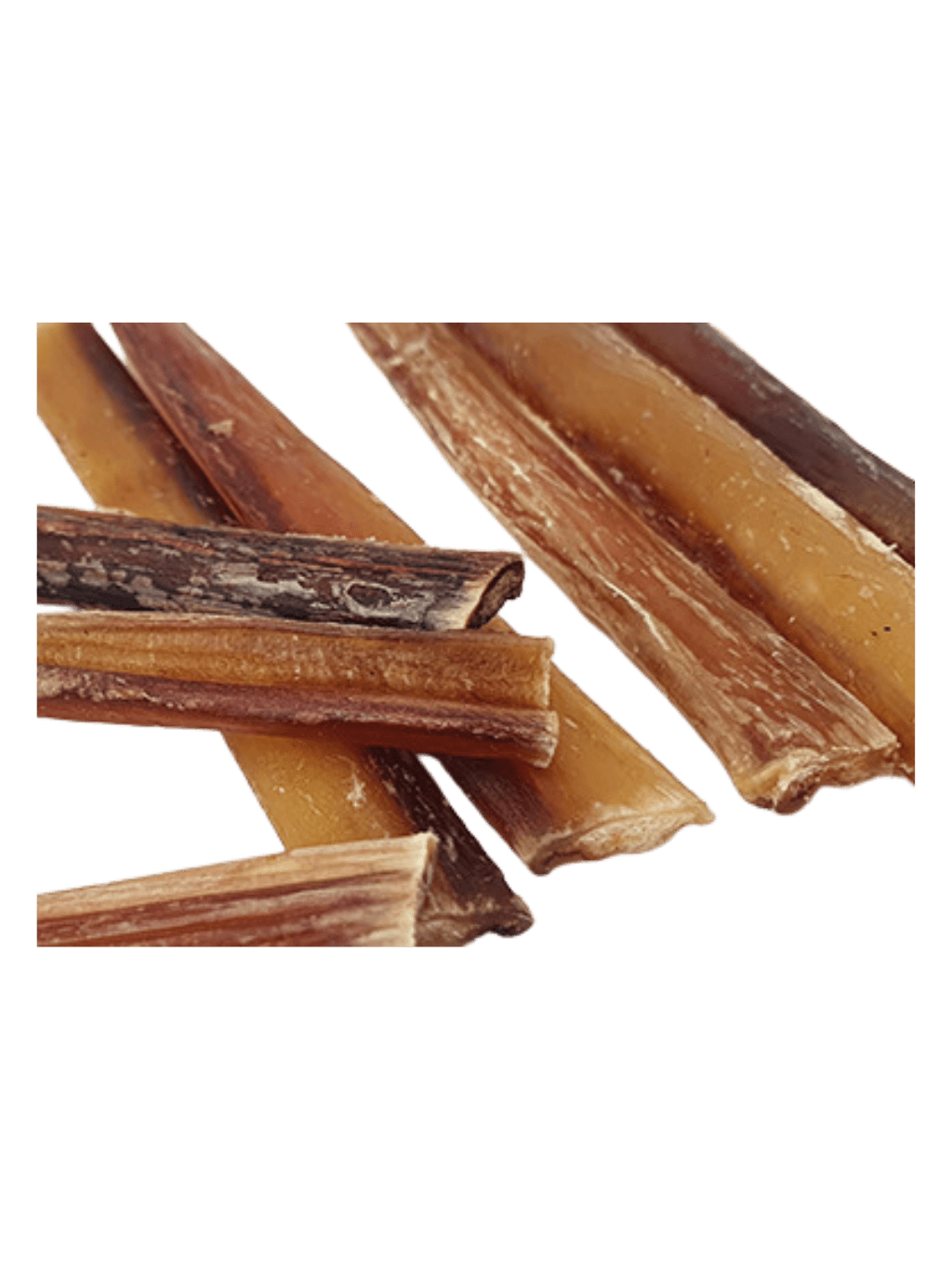Natural Ex | Bully Stick 牛鞭（5條以上88折） - RUFF & FETCH