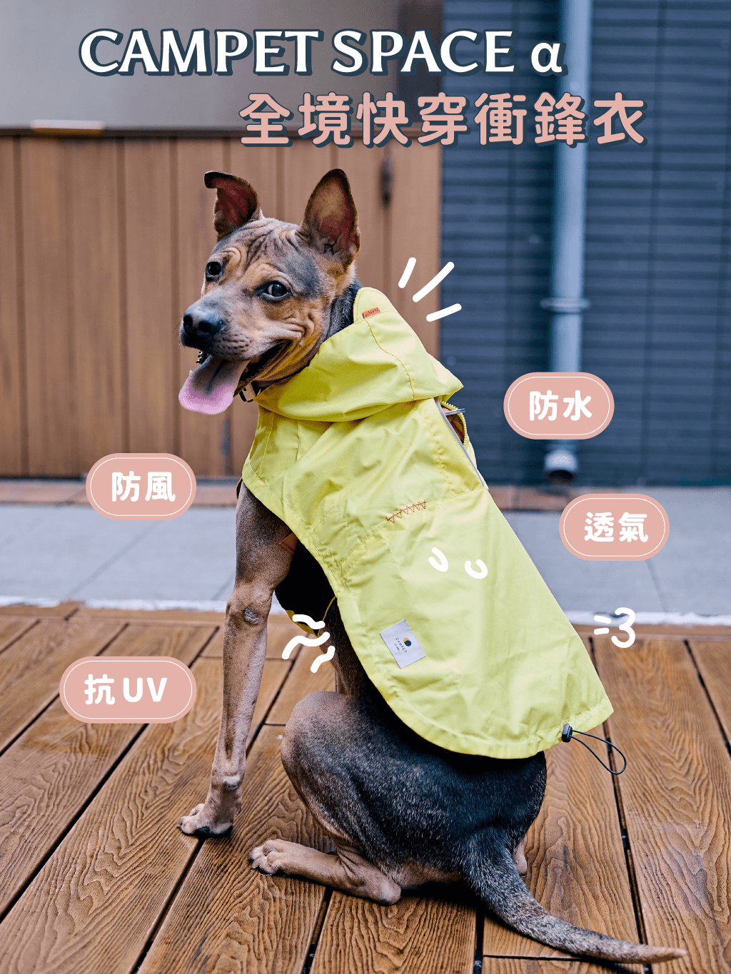 Campet | SPACE α 全境快穿衝鋒衣 - RUFF & FETCH