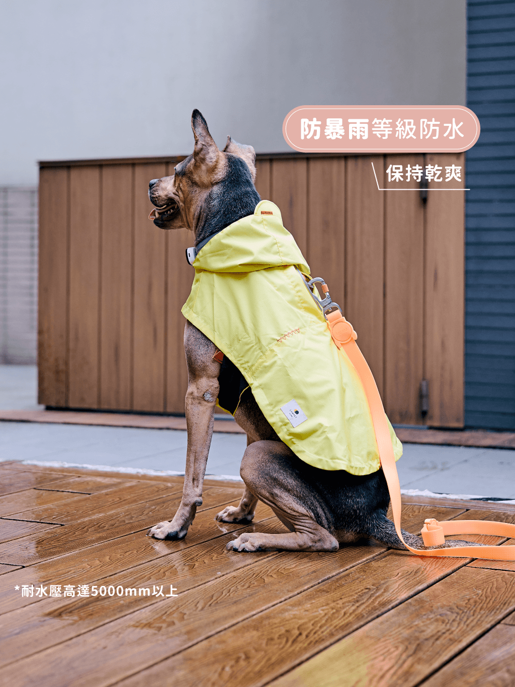 Campet | SPACE α 全境快穿衝鋒衣 - RUFF & FETCH