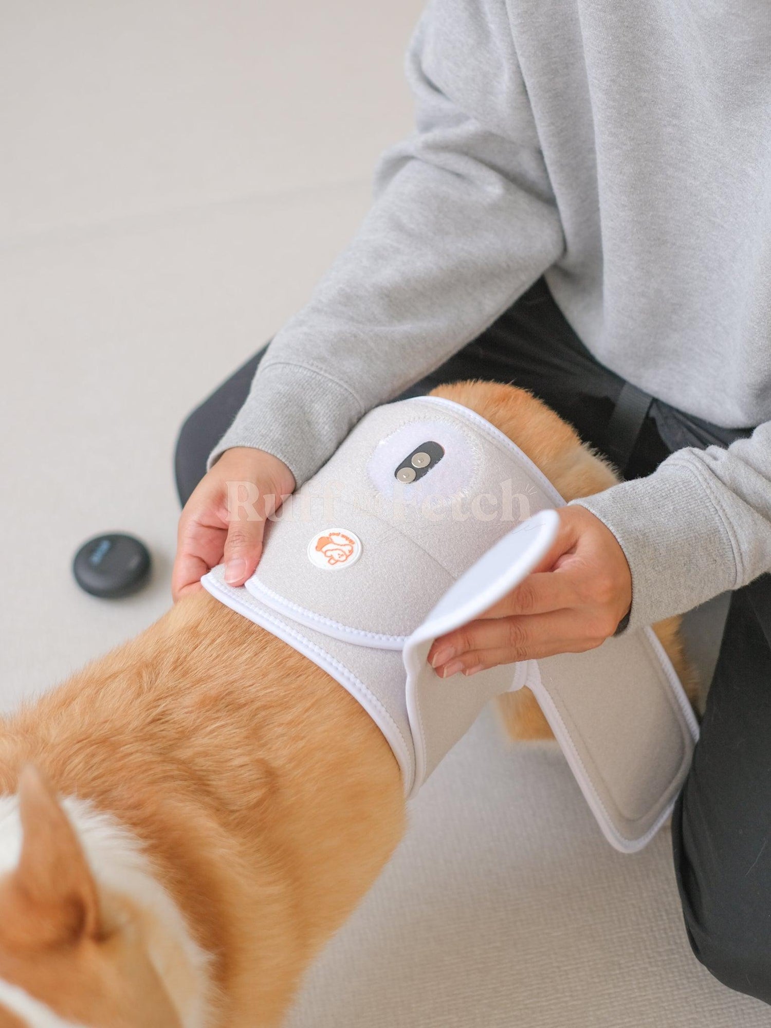 Cirius Pet｜無線近紅外線髖關節保養儀 PRO （15kg ） - RUFF & FETCH