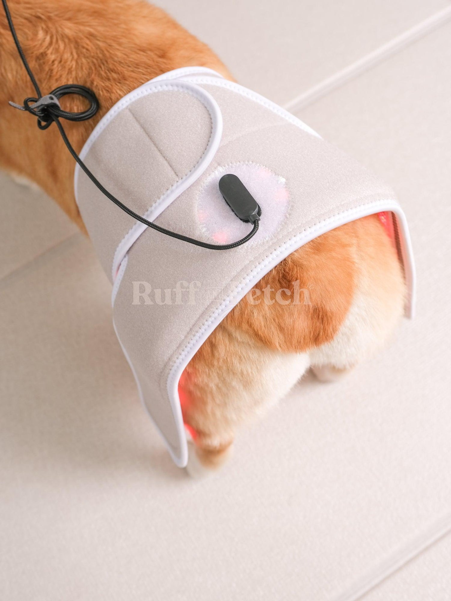 Cirius Pet｜無線近紅外線髖關節保養儀 PRO （15kg ） - RUFF & FETCH