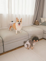 Cirius Pet｜無線近紅外線髖關節保養儀 PRO （15kg ） - RUFF & FETCH
