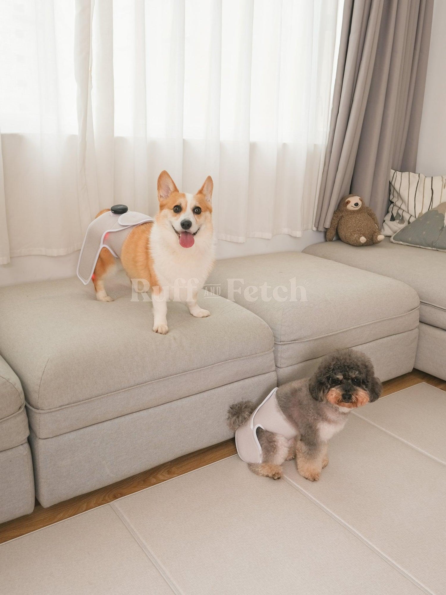 Cirius Pet｜無線近紅外線髖關節保養儀 PRO （15kg ） - RUFF & FETCH