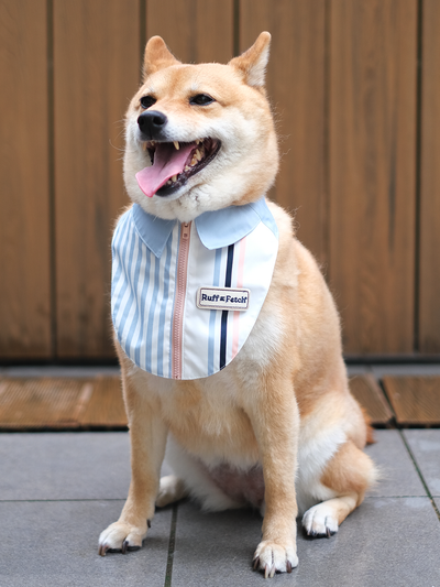 Ruff & Fetch | 便利店主題手作寵物圍兜