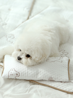 ITSDOG | 超涼感小枕頭