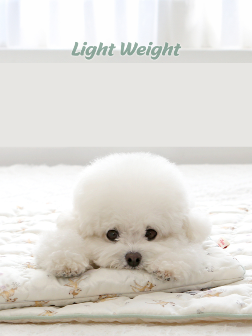 ITSDOG | 迪士尼系列人造絲冰枕