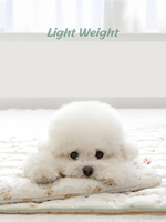 ITSDOG | 迪士尼系列人造絲冰枕