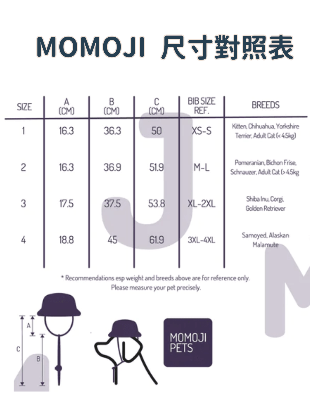 Momoji | 恭賀新年財神帽 - RUFF & FETCH