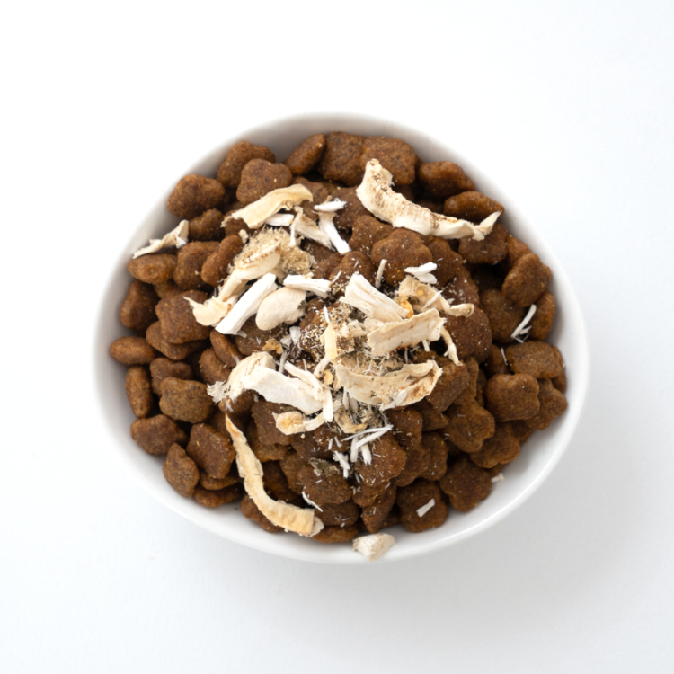 Billy's Vet｜Posty Crunch-Scallop — RUFF & FETCH
