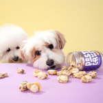 Billy's Vet｜Posty Crunch-Scallop — RUFF & FETCH