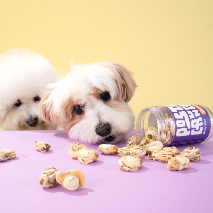 Billy's Vet｜Posty Crunch-Scallop — RUFF & FETCH