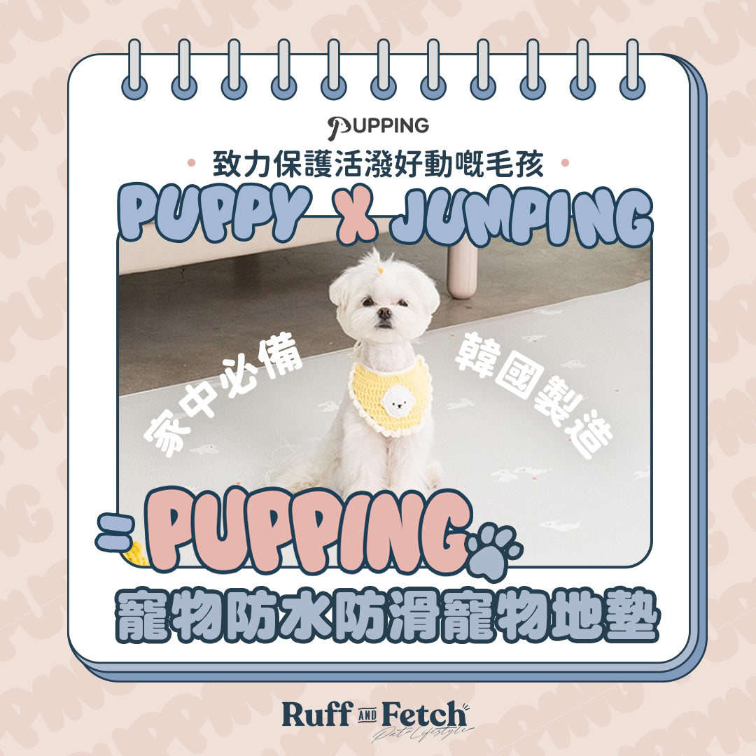 Pupping | 防水防滑寵物墊（走廊款）