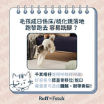 Pupping | 防水防滑寵物墊（摺款） - RUFF & FETCH