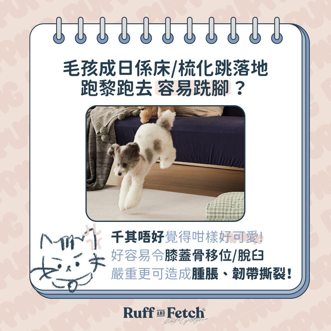 Pupping | 防水防滑寵物墊（摺款） - RUFF & FETCH