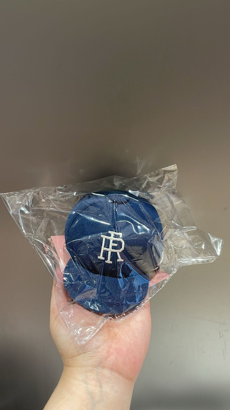 RAF City Explorer 城市探索隊寵物玩具系列 | RF棒球帽發聲玩具