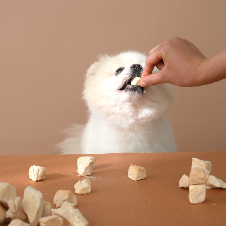 Billy's Vet｜Posty Crunch-Chicken — RUFF & FETCH