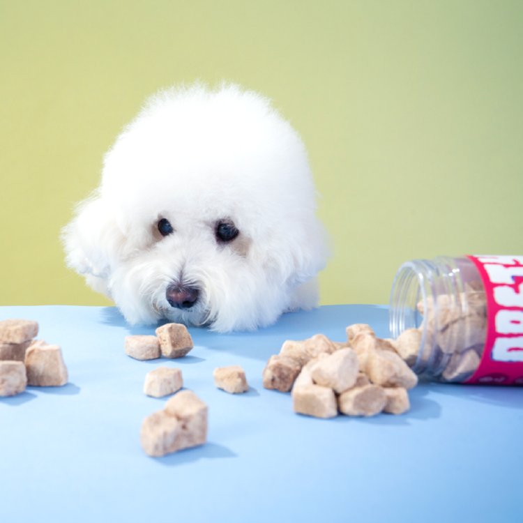 Billy's Vet｜Posty Crunch-Pork — RUFF & FETCH