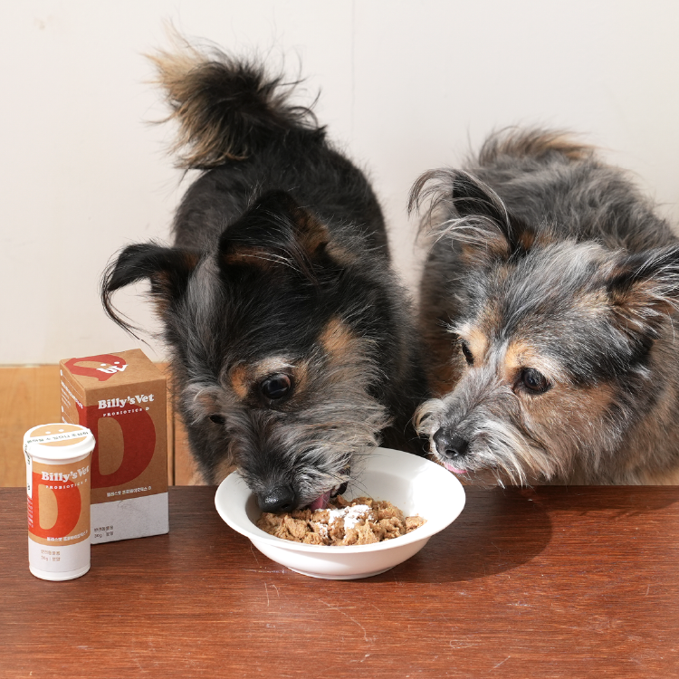 Billy's Vet｜Probiotics D (For Diet) — RUFF & FETCH