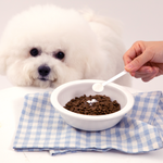 Billy's Vet｜Probiotics One 395 (Daily Immunity) — RUFF & FETCH