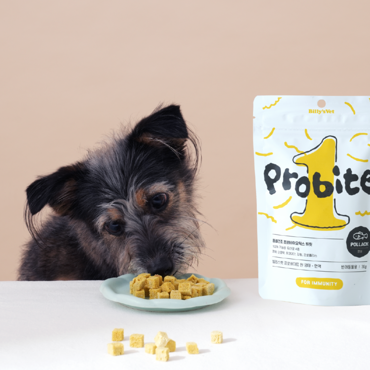 Billy's Vet｜PROBITE ONE (Pollack) — RUFF & FETCH