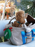 iCandor | 寵物斜背包 Peek-a-boo bag ( 預售4月底 ) - RUFF & FETCH