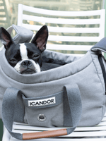 iCandor | 寵物斜背包 Peek-a-boo bag ( 預售4月底 ) - RUFF & FETCH