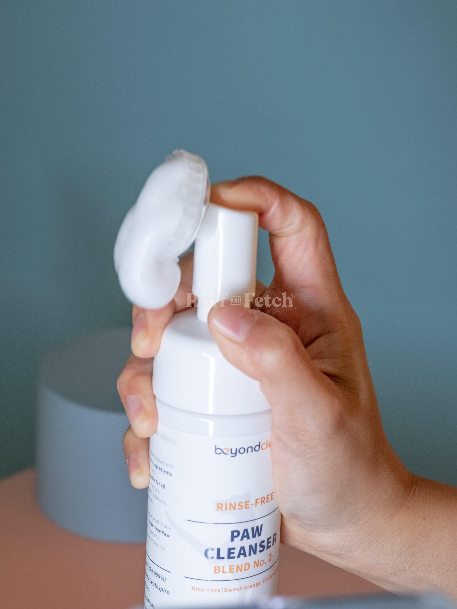 Beyond Clean | 新加坡寵物腳掌免沖洗消毒泡沫 150ml - RUFF & FETCH