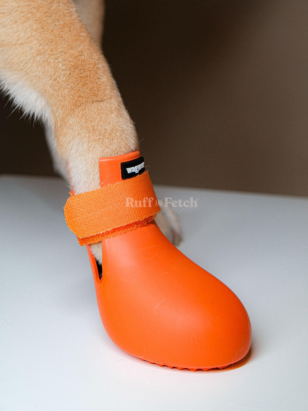 WagWellies Wagwear | 狗狗戶外防水鞋 - RUFF & FETCH