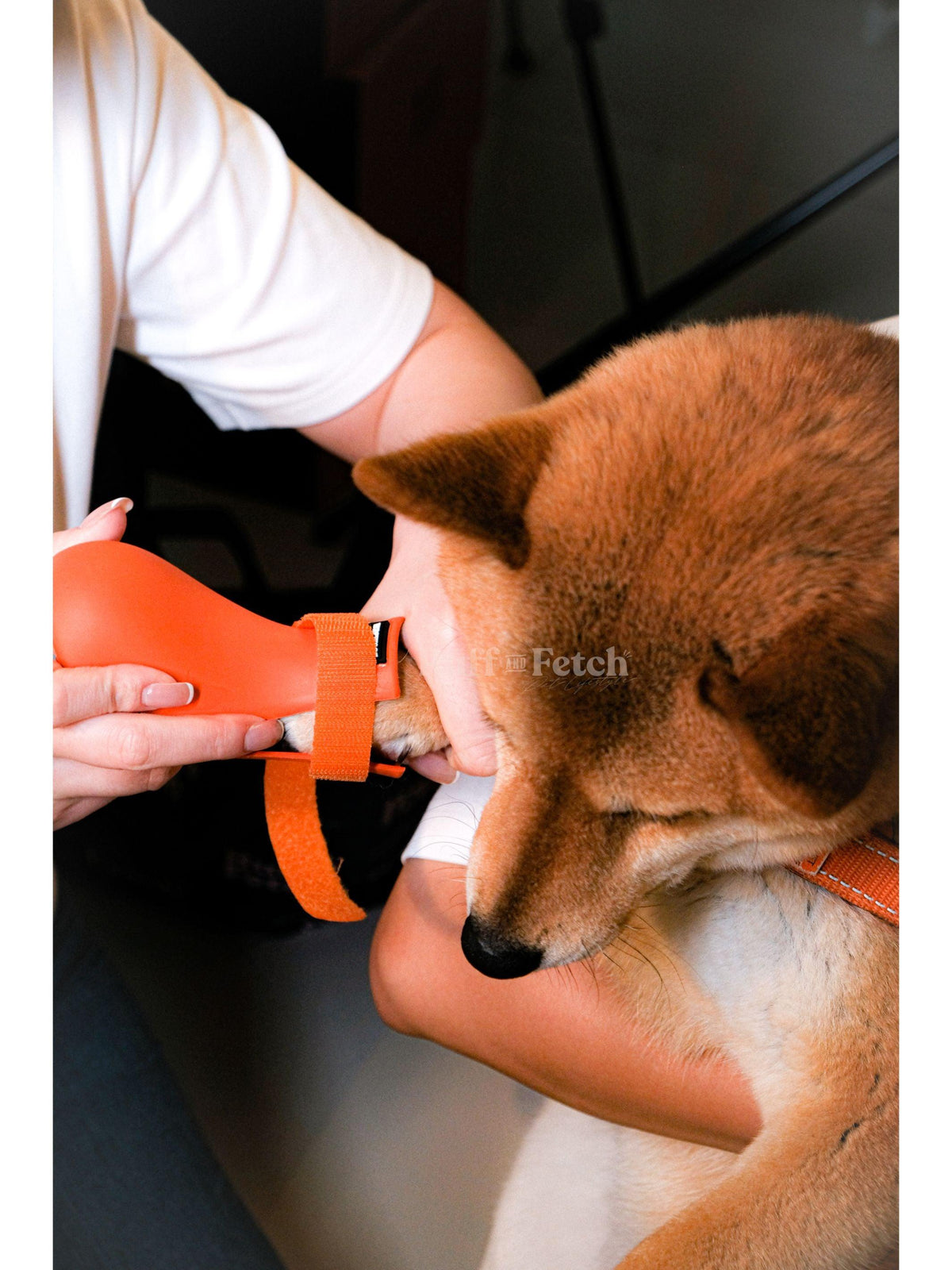 WagWellies Wagwear | 狗狗戶外防水鞋 - RUFF & FETCH
