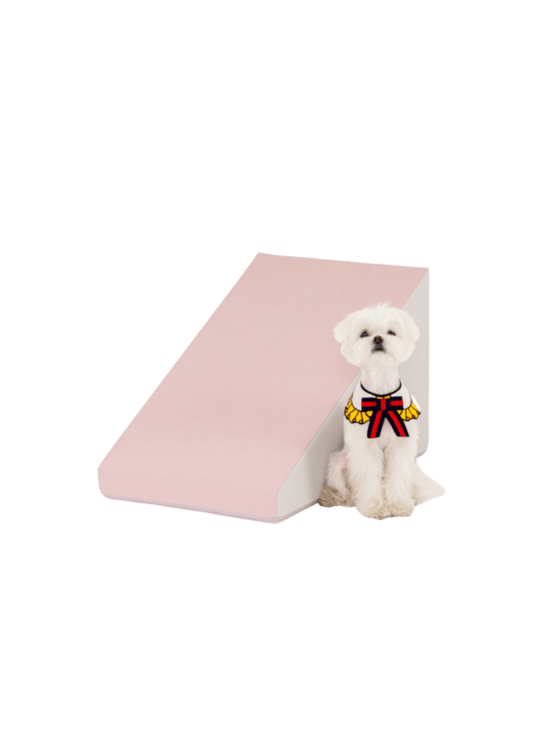 Pupping | 防滑寵物斜坡 - RUFF & FETCH