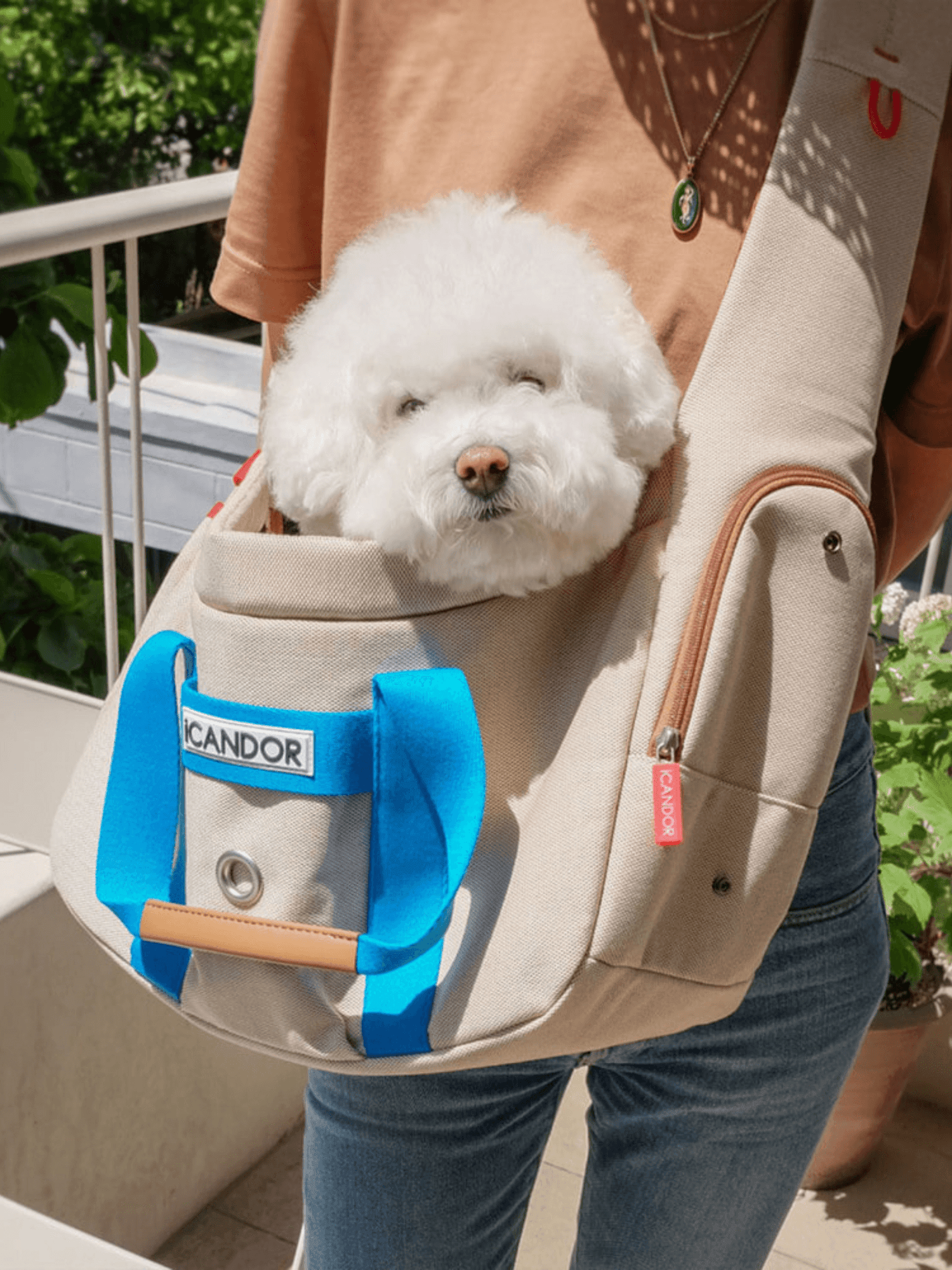 iCandor | 寵物斜背包 Peek-a-boo bag ( 預售4月底 ) - RUFF & FETCH