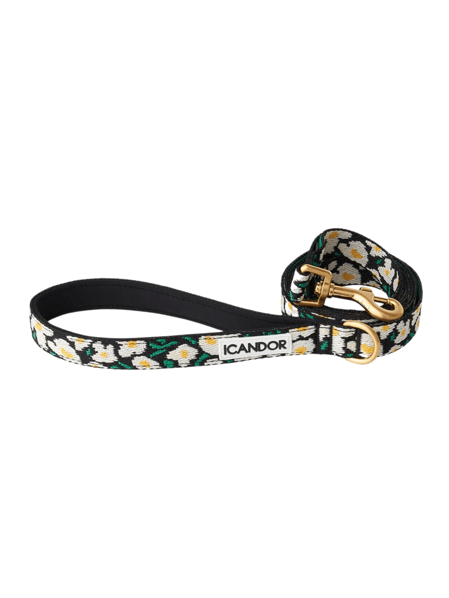 iCandor | Gentle Leash 牽繩 - RUFF & FETCH