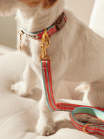 iCandor | Gentle Leash 牽繩 - RUFF & FETCH